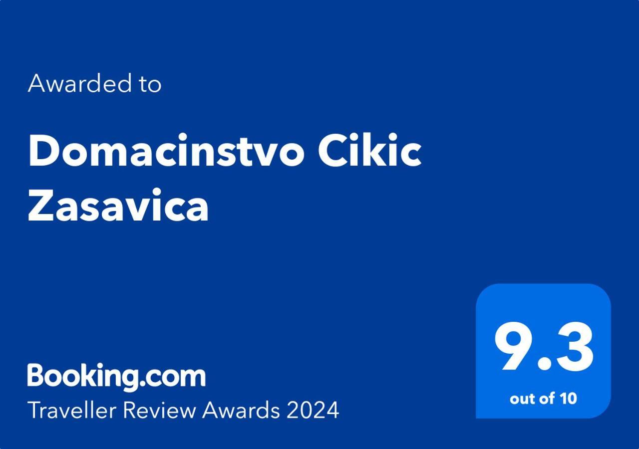 منزل الضيف Domacinstvo Cikic Zasavica المظهر الخارجي الصورة